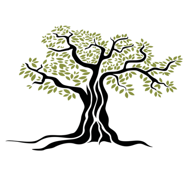 Tappeto vinile fiori albero di olivo nero e foglie verdi - TenStickers