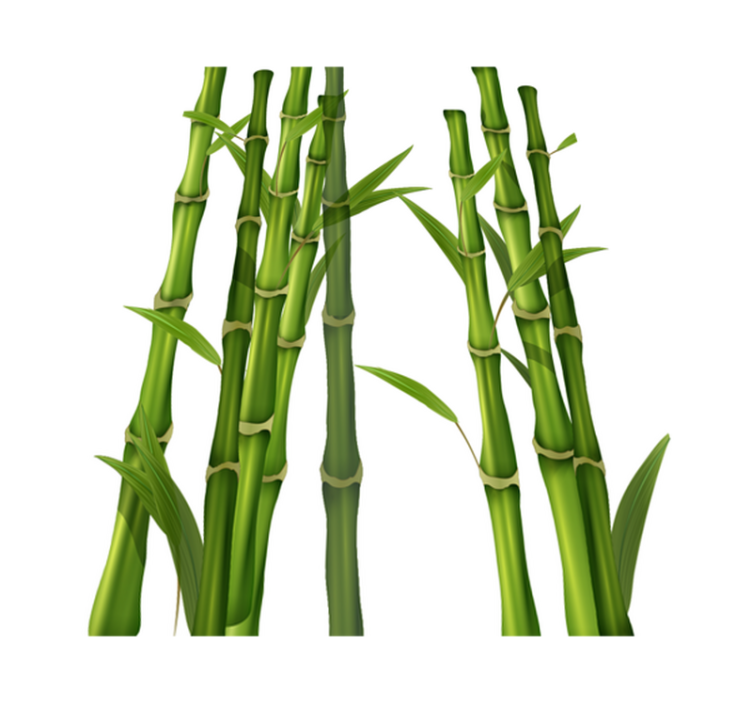 Tappeto vinile bagno motivo bambù - TenStickers