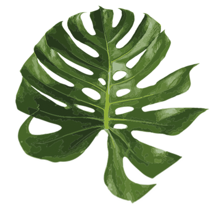 Tappeto vinile fiori foglia di monstera deliziosa - TenStickers