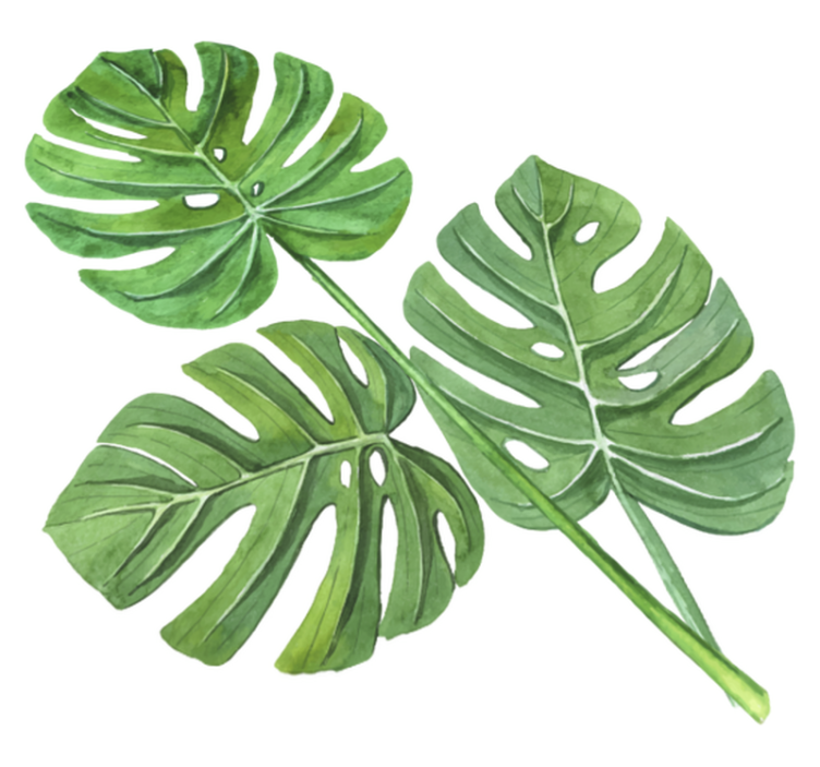 Tappeto vinile fiori foglie acquerello monstera - TenStickers