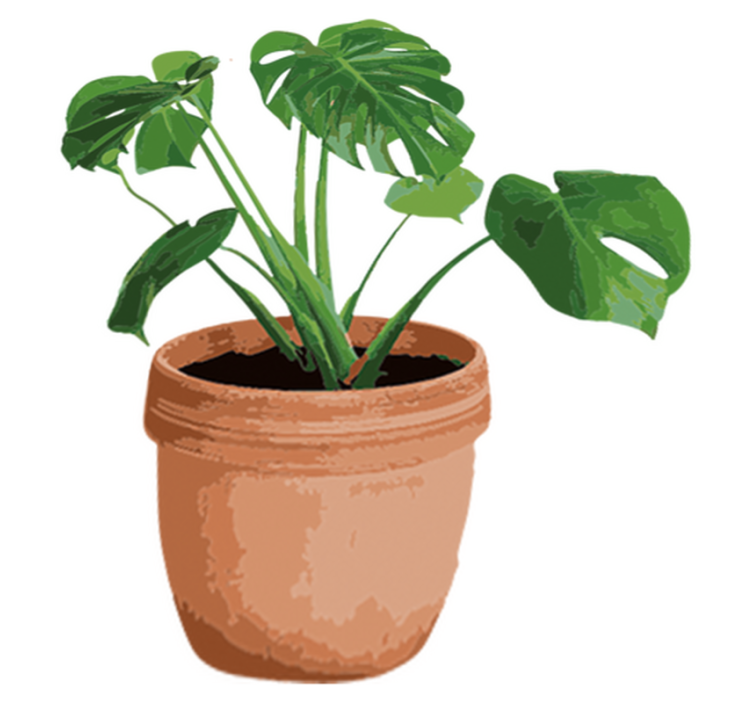 Tappeto vinile fiori vaso monstera semplice - TenStickers
