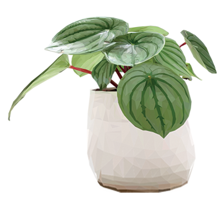 Tappeto vinile fiori pianta da interno semplice - TenStickers