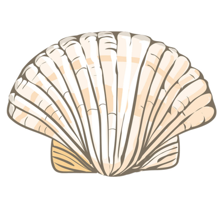 Tappeto vinile animali illustrazione di conchiglia - TenStickers