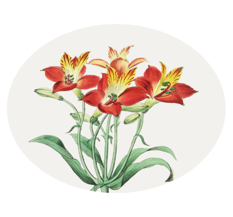 Tappeto vinile fiori fiori rossi vivaci - TenStickers