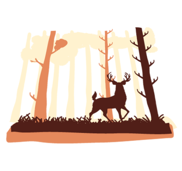 Tappeto vinile camera da letto foresta e cervi - TenStickers