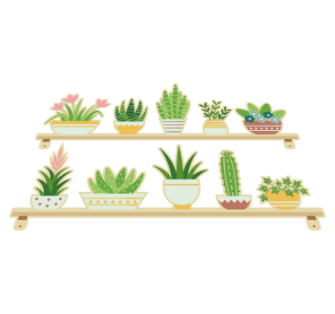 Tappeto pvc cucina set mensola piante cactus - TenStickers