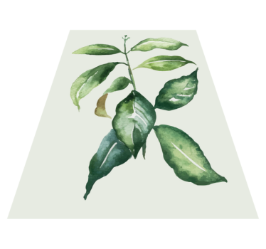 Tappeto vinile fiori illustrazione di foglie botaniche - TenStickers