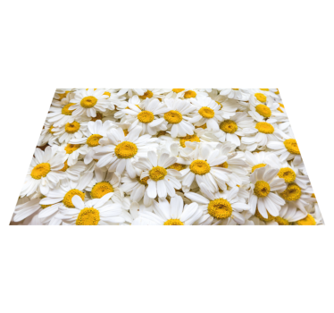 Tappeto vinile bagno concetto di fiore di margherita - TenStickers