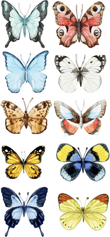 Tappeto vinile animali dieci farfalle colorate - TenStickers