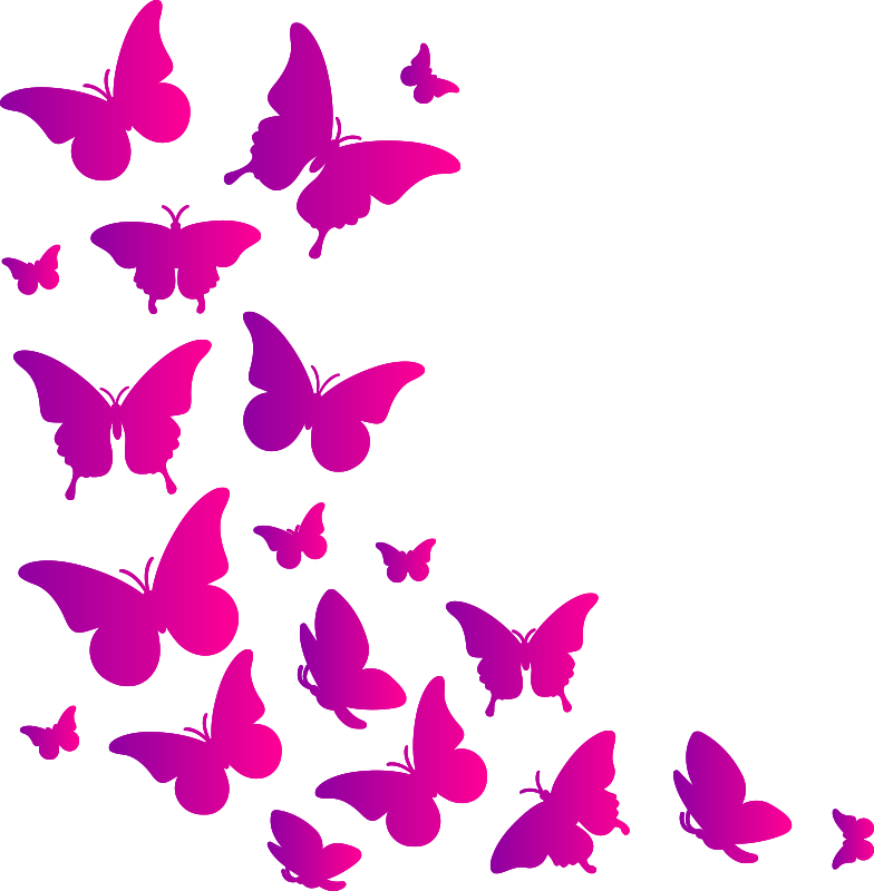 Tappeto vinile animali farfalla finestra - TenStickers