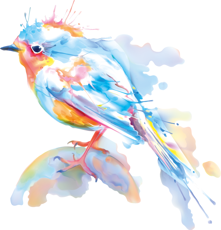 Tappeto vinile animali schizzi di uccelli - TenStickers