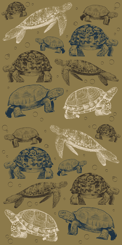 Tappeto vinile animali sfondo beige tartarughe - TenStickers