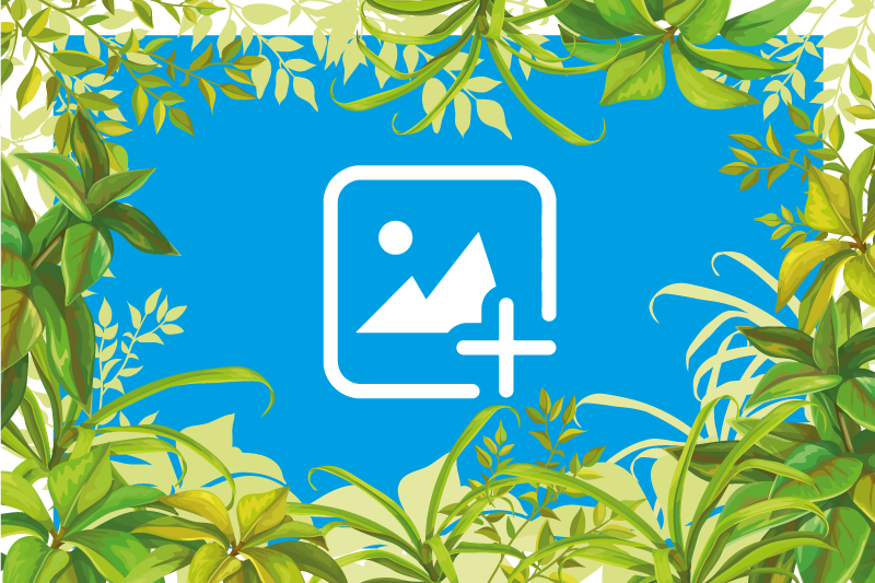 Tappeto vinile animali gatto tra la vegetazione - TenStickers