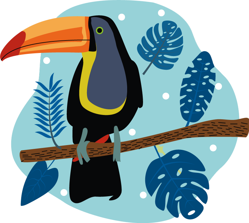Tappeto vinile animali tucano tropicale in posa - TenStickers