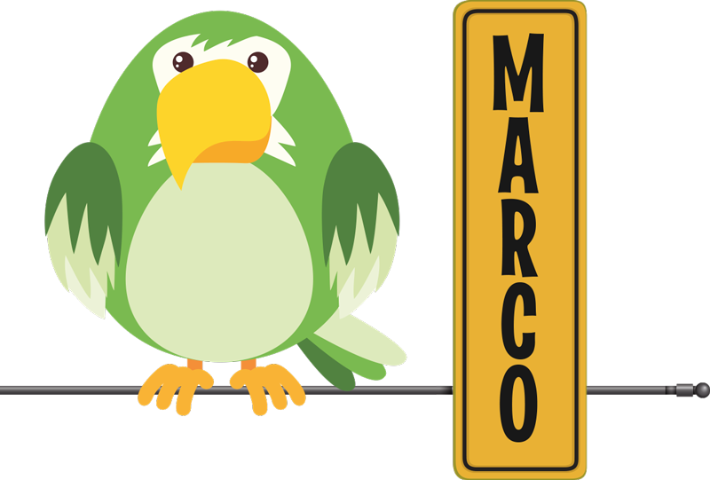 Tappeto vinile animali pappagallo selvatico con nome - TenStickers