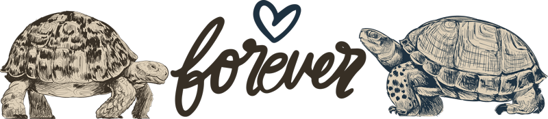 Tappeto vinile animali tartarughe amore eterno - TenStickers