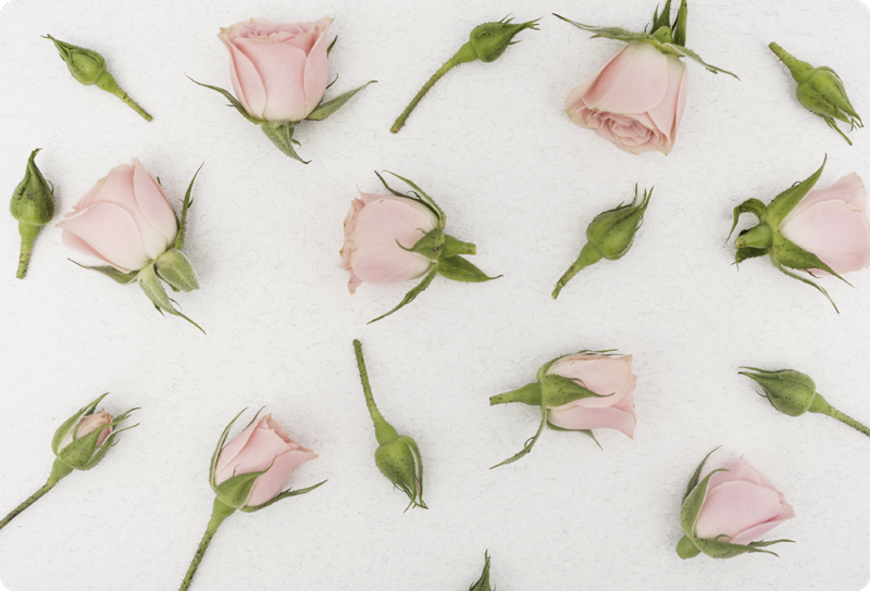 Tappeto vinile fiori fiori di primavera romantici - TenStickers