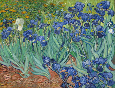 Tappeto vinile fiori fiori di van gogh - TenStickers