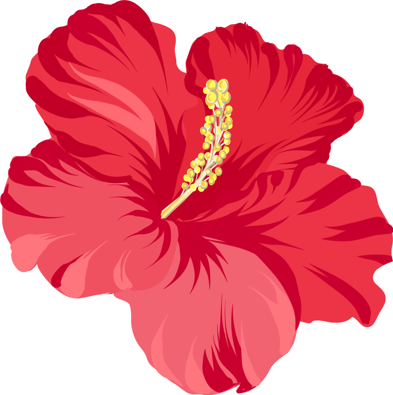 Tappeto vinile fiori kit fiore ibisco rosso - TenStickers