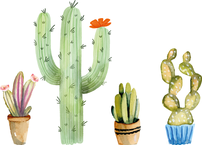 Tappeto vinile sala da pranzo set varietà di cactus - TenStickers