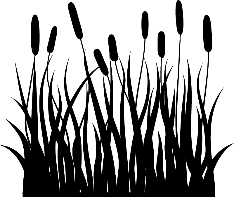 Tappeto vinile bagno canne monocolore - TenStickers