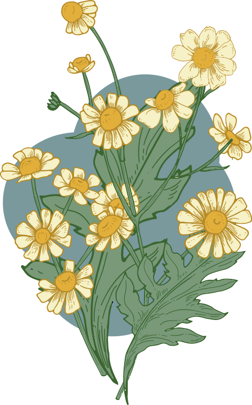 Tappeto vinile fiori composizione fiori vivaci - TenStickers