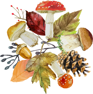 Tappeto vinile natura foglie e frutti della foresta - TenStickers