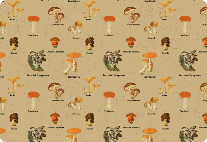 Tappeto vinile natura tipi di funghi vintage - TenStickers