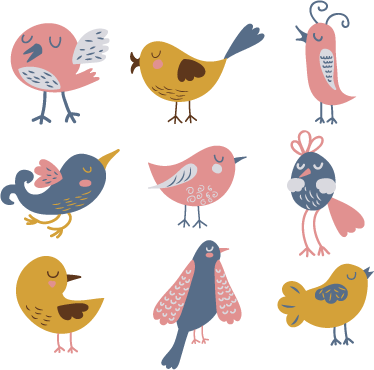 Tappeto vinile per bambini adesivi nove uccellini - TenStickers