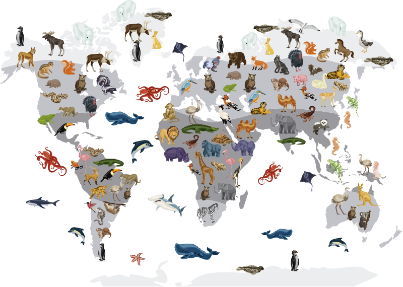 Tappeto vinile mappamondo adesivo da parete stile nordico - TenStickers