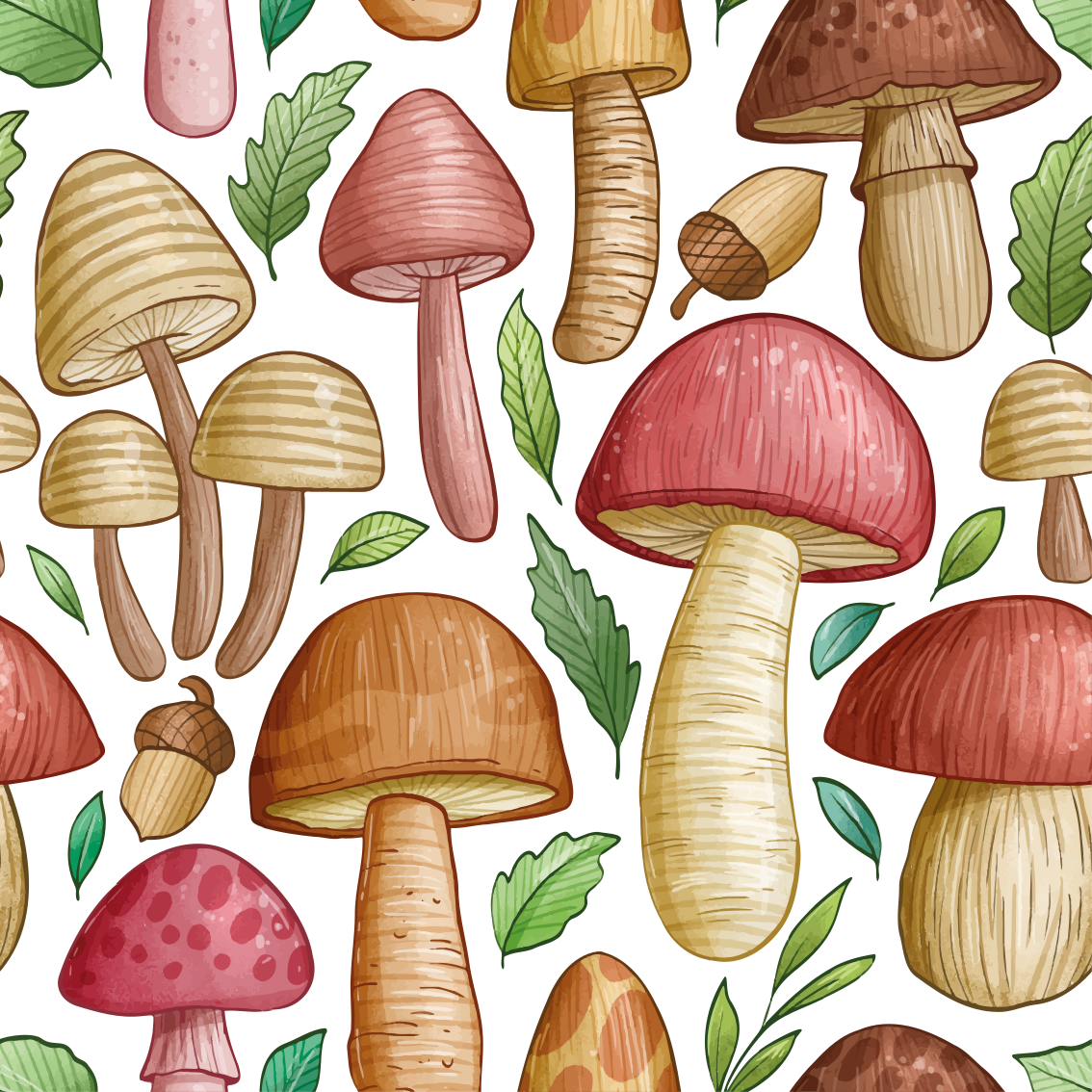 Tappeto pvc cucina collezione di funghi diversi - TenStickers