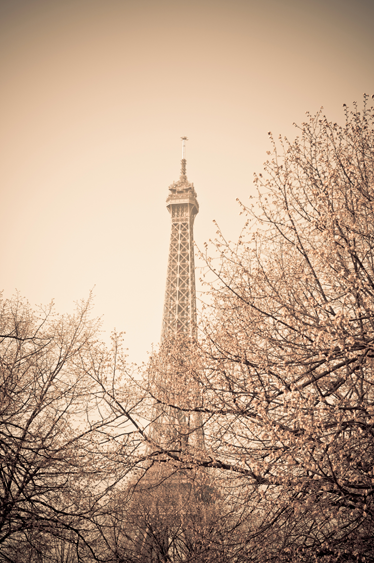 Tappeto vinile camera da letto foto torre eiffel alberi - TenStickers
