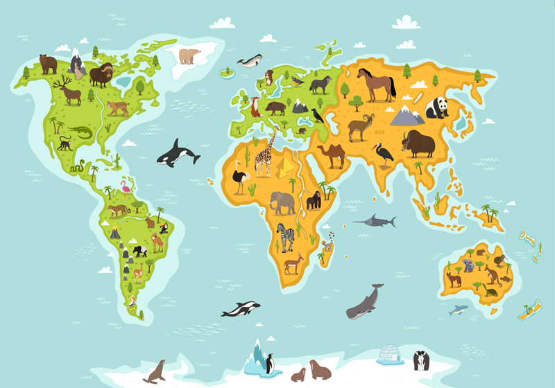 Tappeto vinile mappamondo fauna e flora infantile - TenStickers