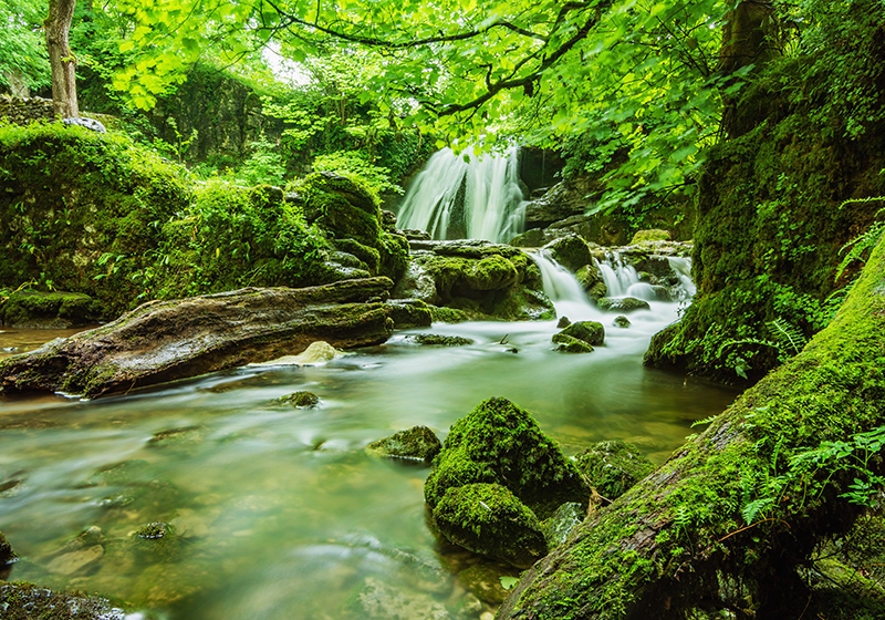Tappeto vinile verde cascata serene - TenStickers