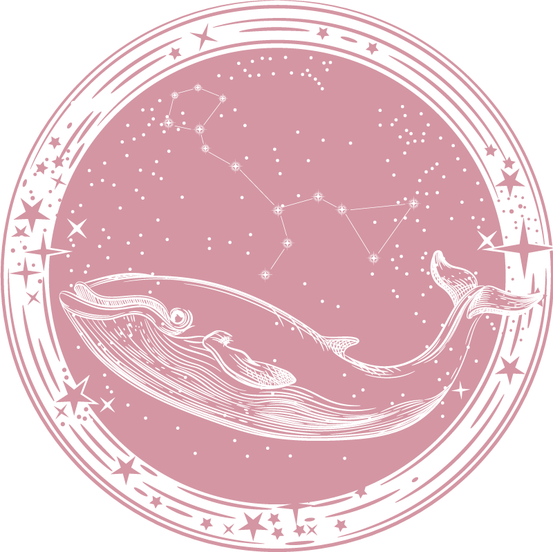 Tappetto vinile stelle cerchio costellazione balena - TenStickers
