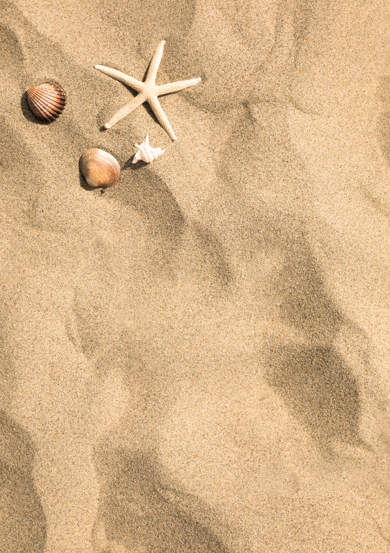 Tappeto vinile esterno eleganza fronte mare - TenStickers