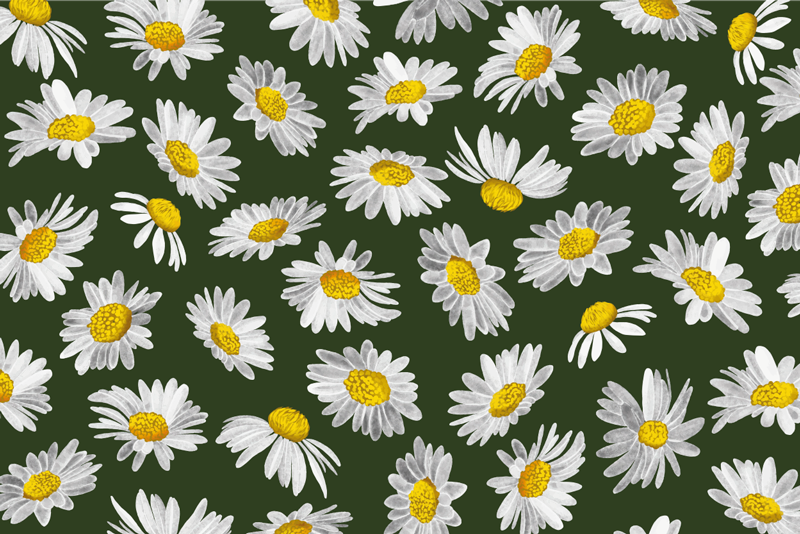 Tappeto vinile fiori delizia della margherita - TenStickers