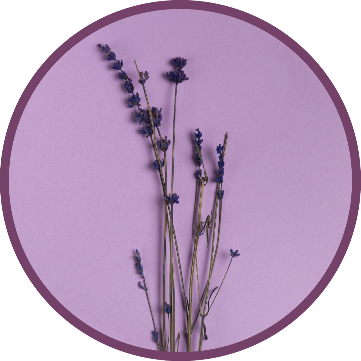 Tappeto vinile fiori sagoma di lavanda - TenStickers