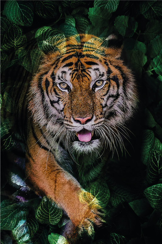 Tappeto vinile animali rappresentazione tigre e foglie - TenStickers