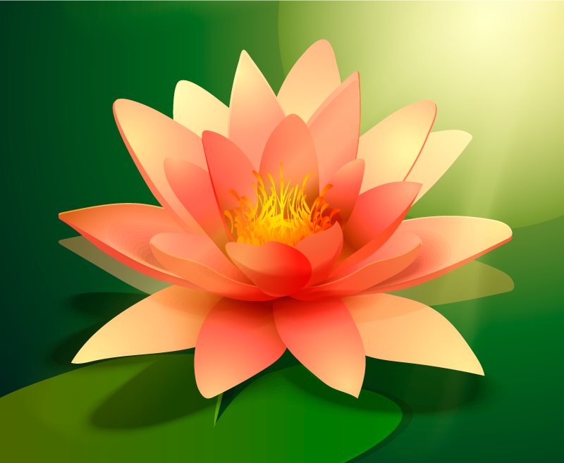 Tappeto vinile fiori loto in fiore - TenStickers