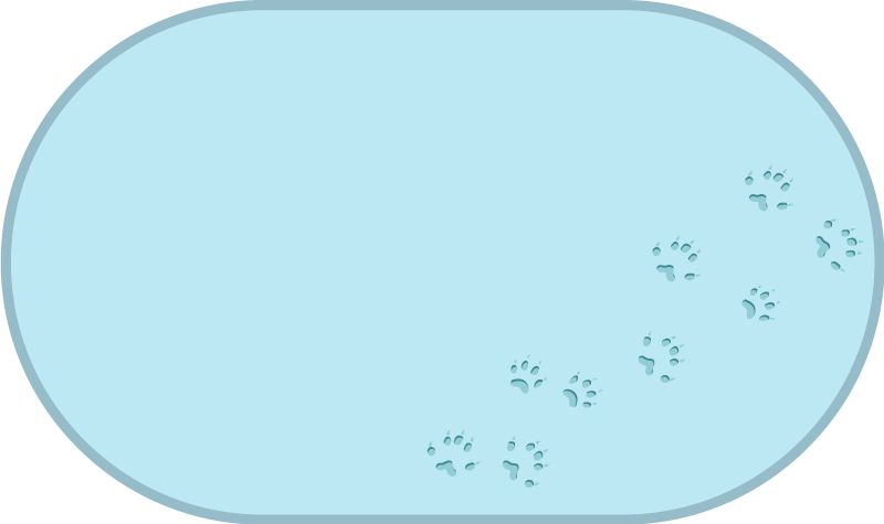 Tappeto vinile animali tracce di impronte di zampe - TenStickers