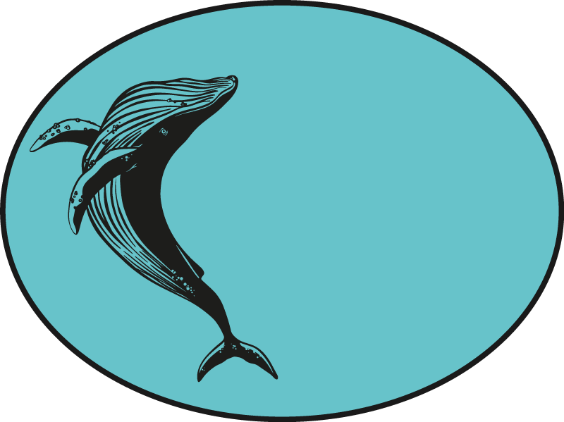 Tappeto vinile animali maestoso motivo della balena - TenStickers