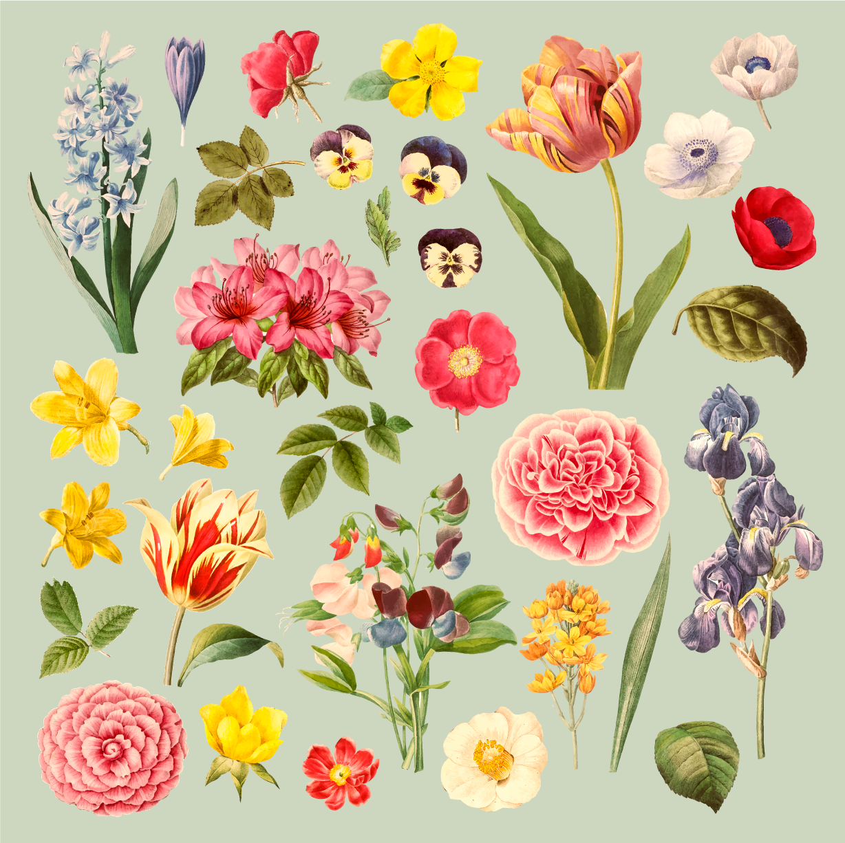 Tappeto vinile fiori collezione botanica floreale - TenStickers