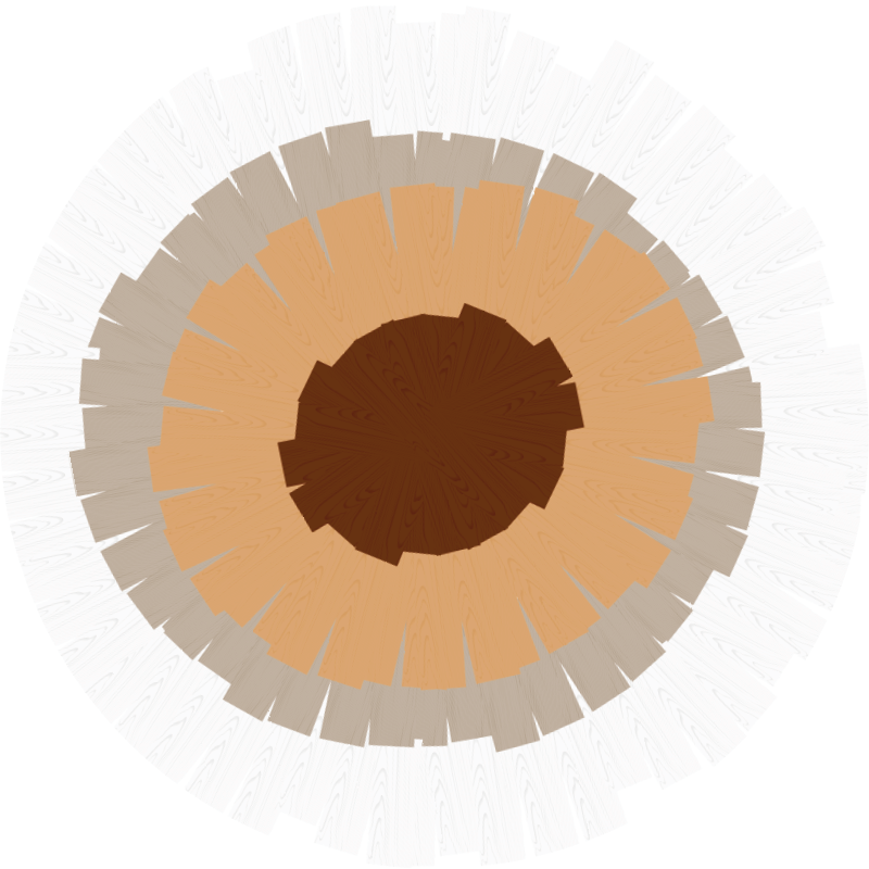 Tappeto vinile effetto legno design del tronco circolare - TenStickers