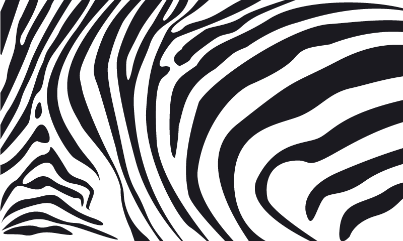 Tappeto vinile stampa animale linee di zebra - TenStickers