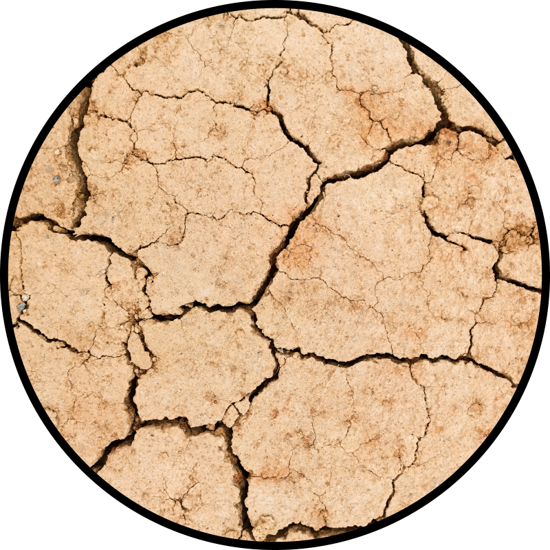 Tappeti vinile motivi modello di terra screpolata - TenStickers
