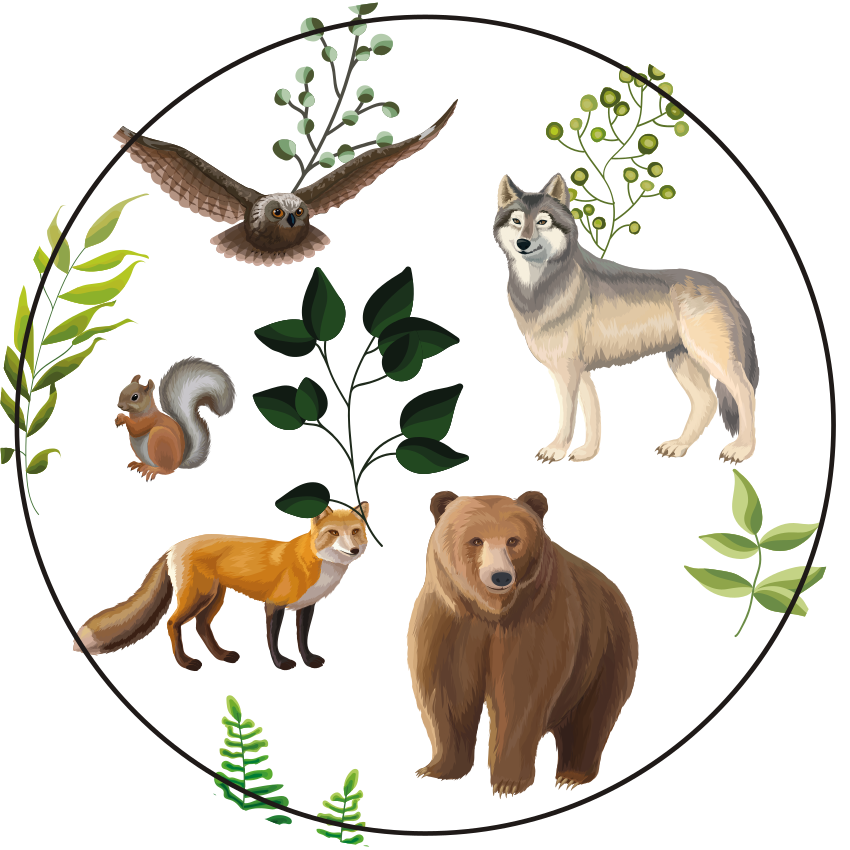 Tappeto vinile per bambini creature amichevoli della foresta - TenStickers