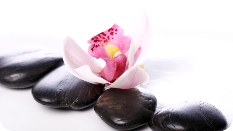 Tappeto vinile natura elegante serenità floreale - TenStickers