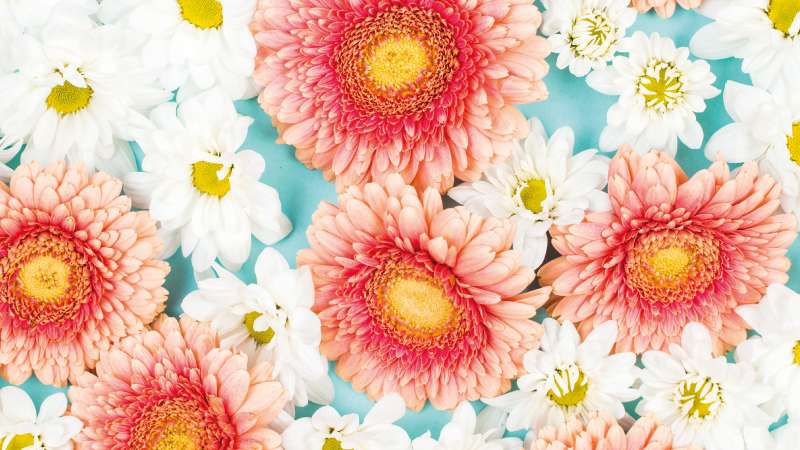 Tappeto vinile fiori fiore vibrante - TenStickers