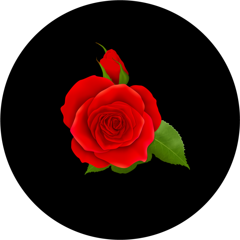Tappeto vinile fiori delizia di rosa rossa - TenStickers